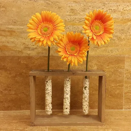 Apartament Tia *